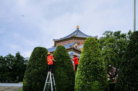 物业管理师报名时间 顺丰快递有可能进入中国物流行业第一梯队