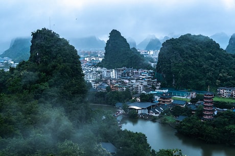 桂林桂花：香气扑鼻 悦目动人