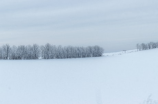 暴雪黄色预警！多地积雪严重，交通出现严重堵塞